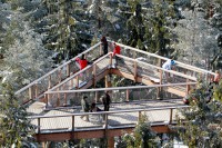/album/fotogalerie-stezka-korunami-stromu-lipno/stezka-korunami-stromu-lipno52-jpg/